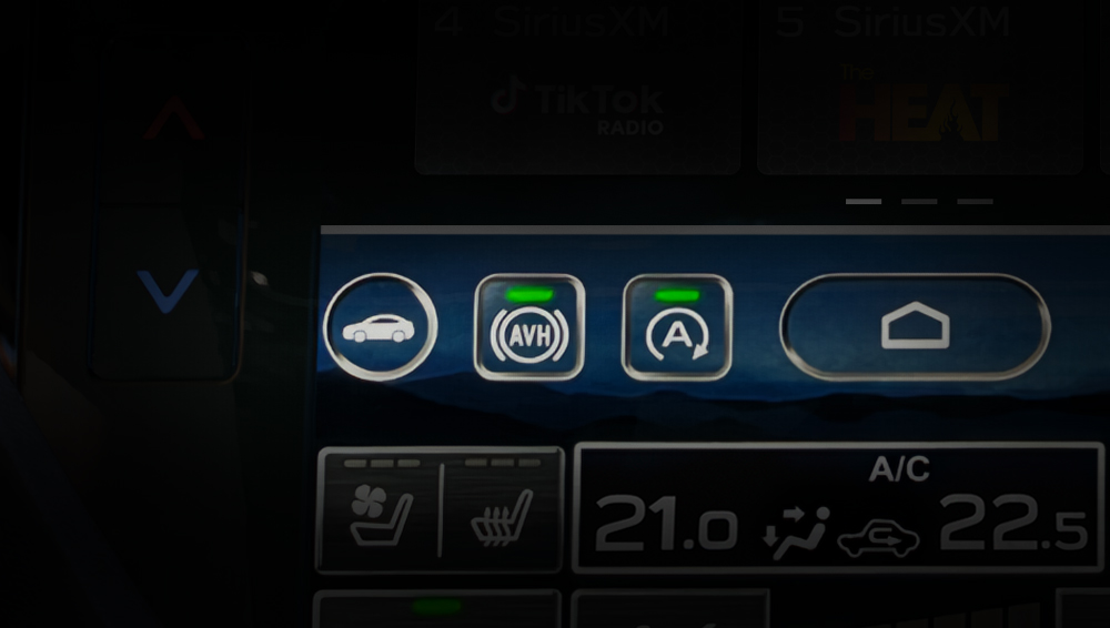 Close up of the Auto Vehicle Hold button.